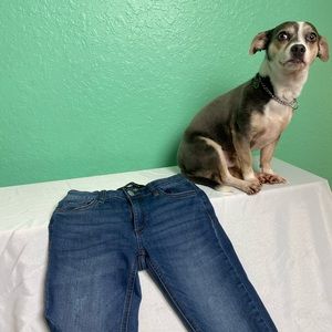 Show some legs